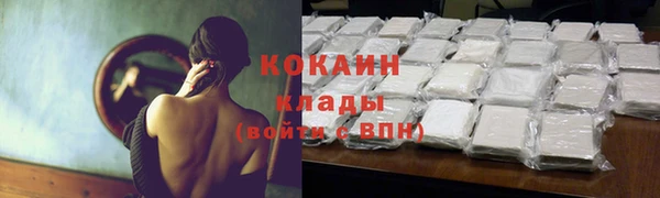 ECSTASY Билибино