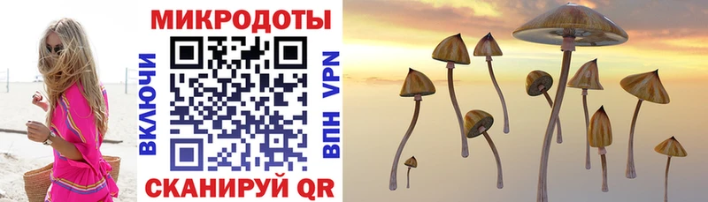 hydra ссылки  Изобильный  Псилоцибиновые грибы мухоморы 