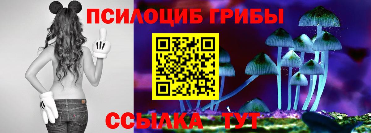 Галлюциногенные грибы мухоморы  наркотики  Изобильный  Вход с VPN 